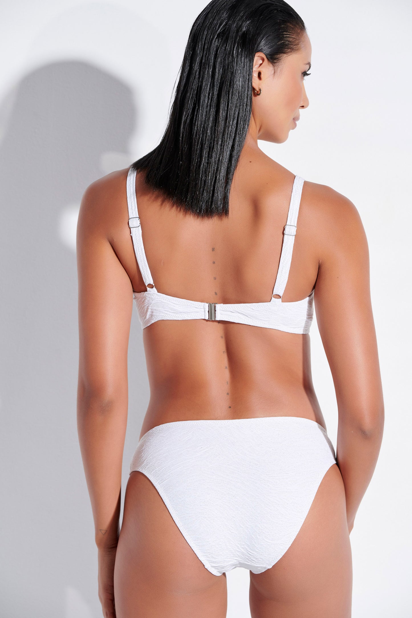 CAPRI (CP010E)